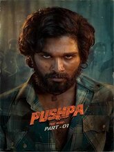 Pushpa: The Rise (Hindi)