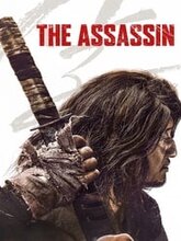 The Assassin (Hindi Dubbed)