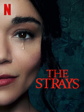 The Strays (English)