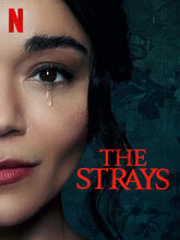 The Strays (Tam + Tel + Hin + Eng)